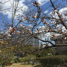  「芽吹きの春。URA部門にも新しい仲間が増えました！」特集